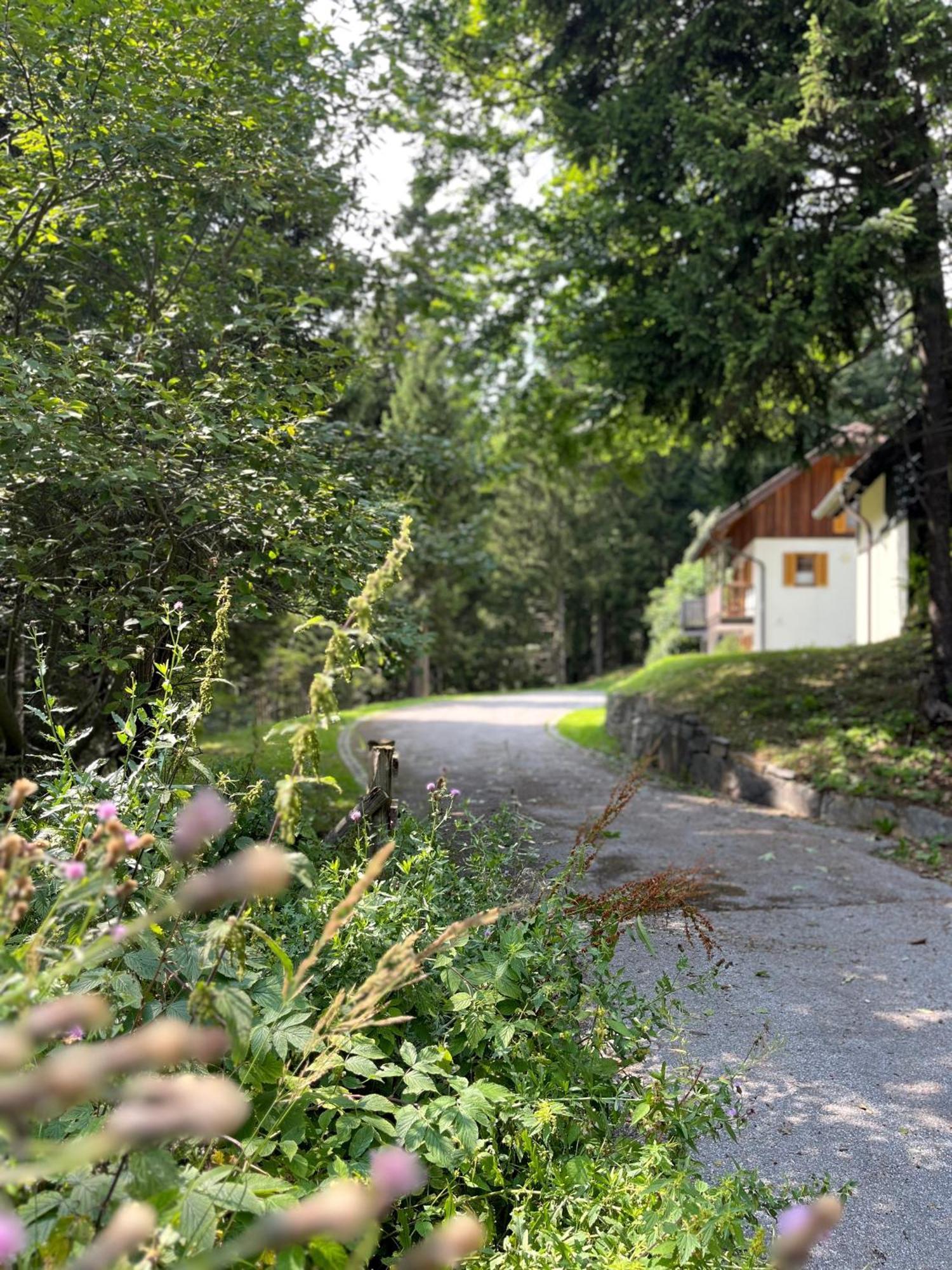 Chalet Harmony Rogla - Apartment Zreče Екстериор снимка